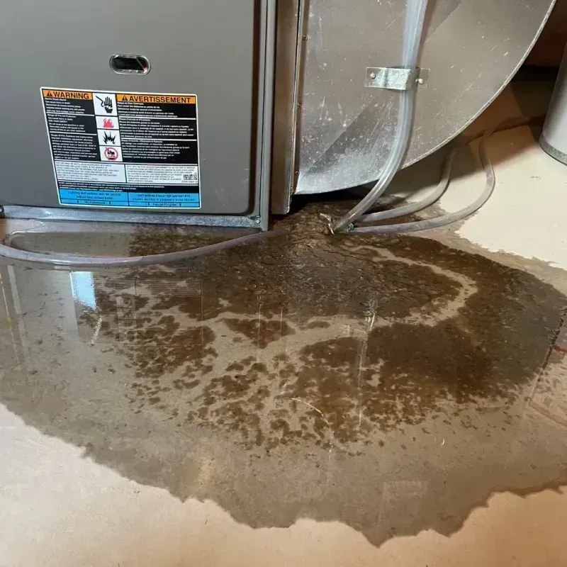 Appliance Leak Cleanup in Licking, MO